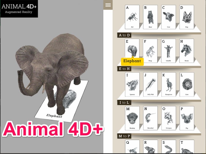Animal 4D là gì Animal 4D là gì