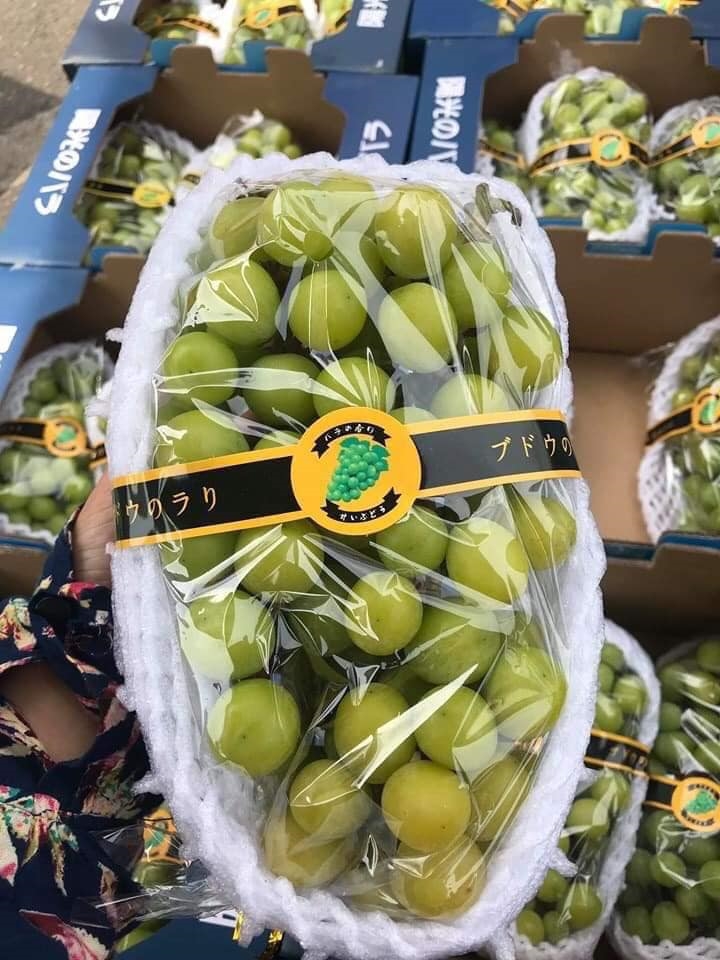 ngỡ ngàn bởi hình ảnh trên mạng và thực tế hoàn toàn là khác nhau . ngỡ ngàn bởi hình ảnh trên mạng và thực tế hoàn toàn là khác nhau .