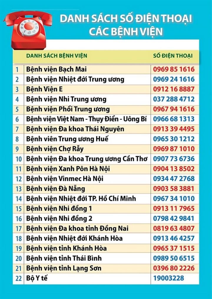 22 đường dây nóng tiếp nhận bệnh nhân Covid-19 (nguồn: Báo chính phủ)